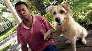 Lenny The Wonder Dog