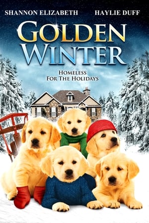Poster Golden Winter (2012)