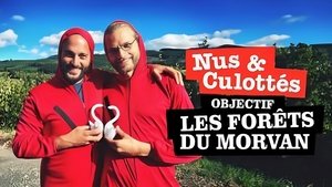 Objectif : Les Forêts du Morvan