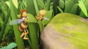 Maya the Bee Judge Beeswax