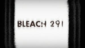Bleach: Season 14 Episode 291