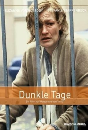 Dunkle Tage poster