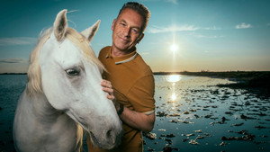 The Horse