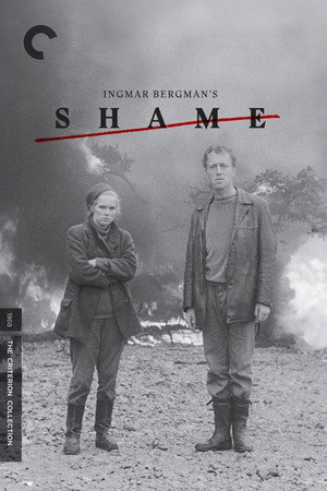 Shame 55