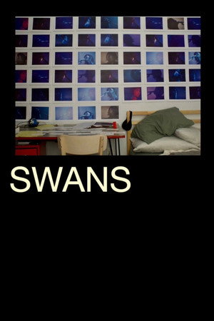 Poster SWANS