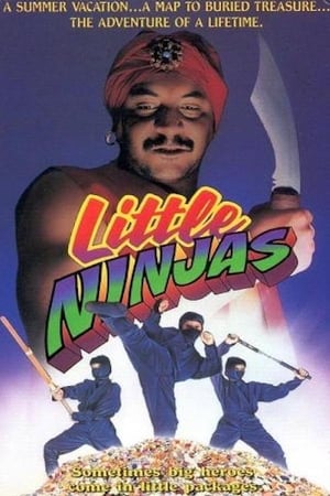 Poster Little Ninjas 1993