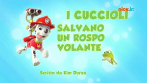 Paw Patrol 2×2