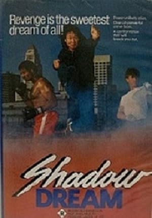 Poster Shadow Dream (1987)