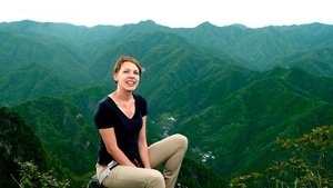 Journeys in Japan: 11×17