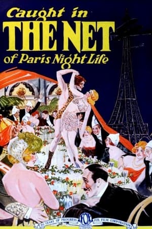 Poster The Net (1923)