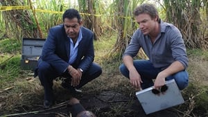 The Glades: 1×4