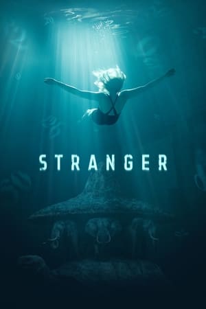 Poster Stranger (2019)
