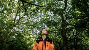 The Arborist backdrop