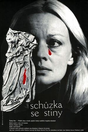 Poster Schůzka se stíny 1983