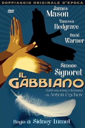 Image Il gabbiano