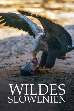 Wildes Slowenien