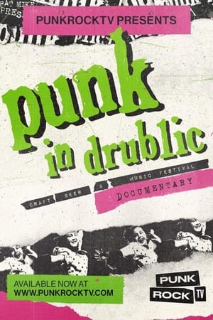 Poster Punk in Drublic Documentary (2021)