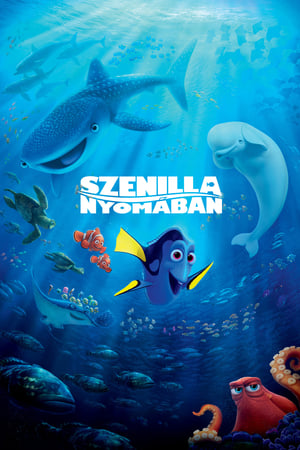 Poster Szenilla nyomában 2016