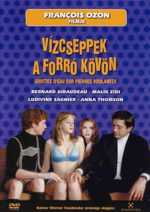 Poster Vízcseppek a forró kövön 2000