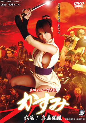 Lady Ninja Kasumi 3: Secret Skills poster