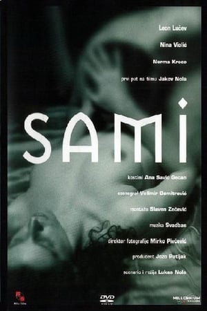 Sami 2001