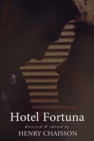 Poster Hotel Fortuna 2013