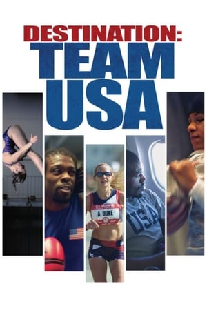 Poster Destination: Team USA (2016)