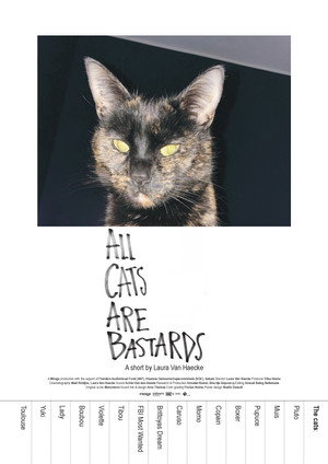 All Cats Are Bastards