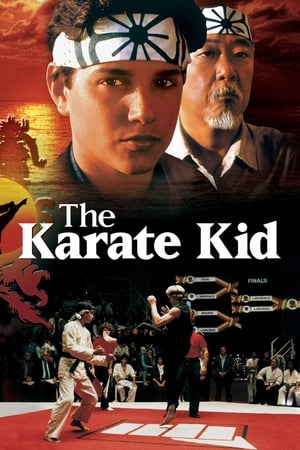 Karate Kid, el momento de la verdad cover