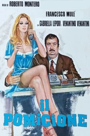 Poster Il pomicione 1976