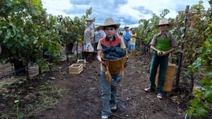 A millones de kilómetros