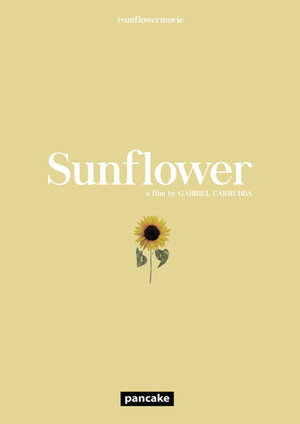 Sunflower 17