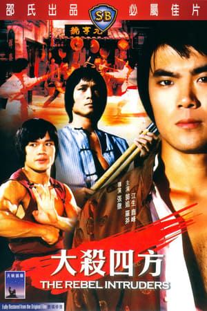 Poster 大殺四方 1980