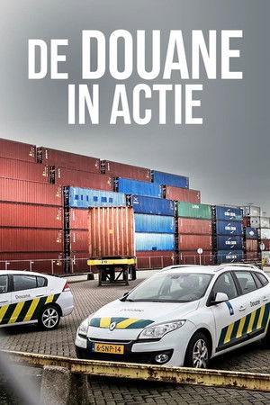 De douane in actie