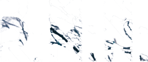 R.M.N. — Logos 2