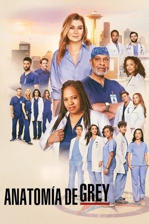 poster Grey's Anatomy