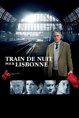 Poster Train de nuit pour Lisbonne 2013