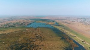 Lost Jungle Civilisation