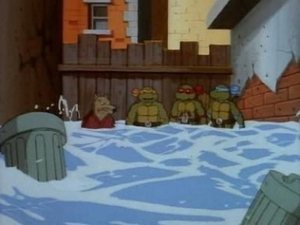 Teenage Mutant Ninja Turtles: 3×14