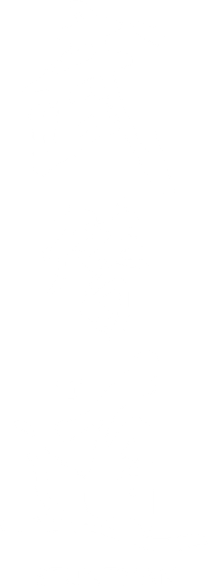 Stuntman — Logos 2