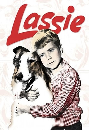 Lassie: Saison 12