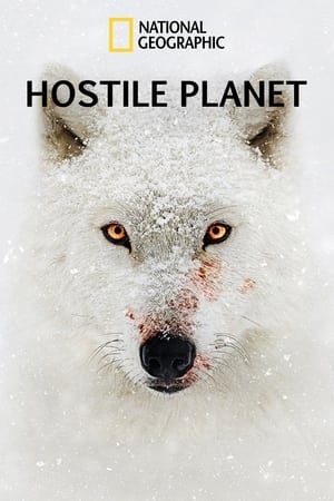 Hostile Planet poster