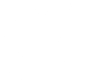 The War Lover