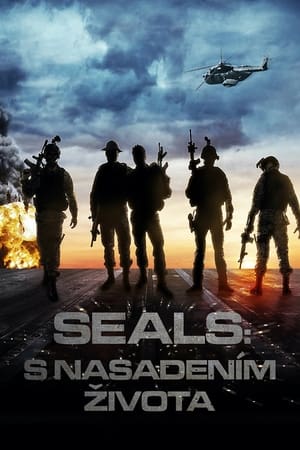 Poster SEALS: S nasadením života 2012