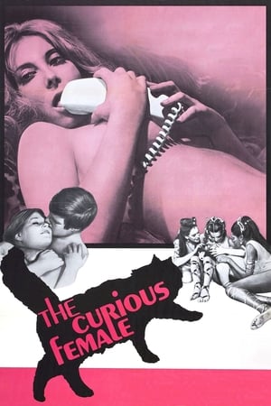 Poster The Curious Female 1970