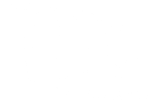 Tito e os Pássaros — Logos 4
