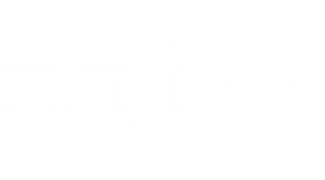 Logo Plus Studio