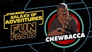 Image Fun Facts: Chewbacca
