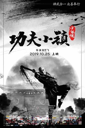 Poster 功夫小镇 2019