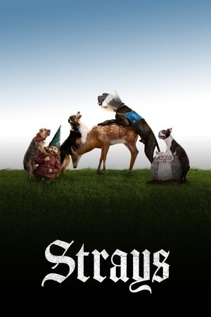 Strays (2023) BluRay Hindi + English 1080p x264 AVC HE-AAC 5.1 ESub Strays (2023) BluRay Hindi + English 1080p x264 AVC HE-AAC 5.1 ESub